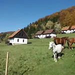 Dom wakacyjny Valley Park Stárkov