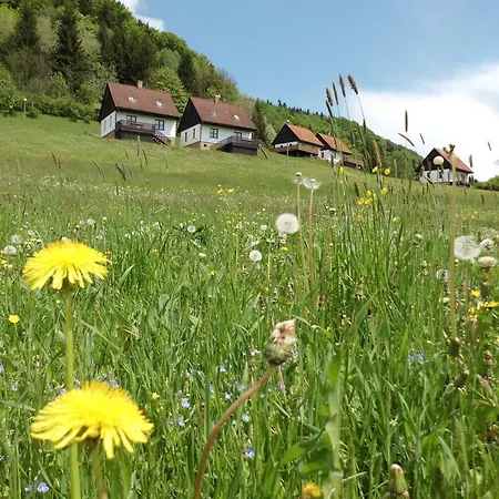 Vakantiehuis Valley Park