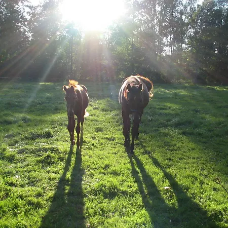 Hébergement de vacances Valley Park Stárkov